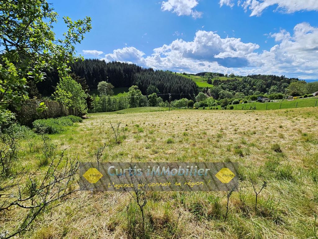 Terrain SAINT JUST MALMONT 219900€ CURTIS IMMOBILIER