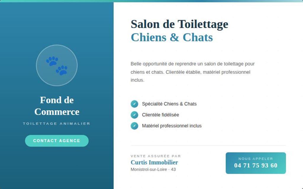 Appartement Fonds de commerce MONISTROL SUR LOIRE 24000€ CURTIS IMMOBILIER Appartement Fonds de commerce MONISTROL SUR LOIRE 24000€ CURTIS IMMOBILIER
