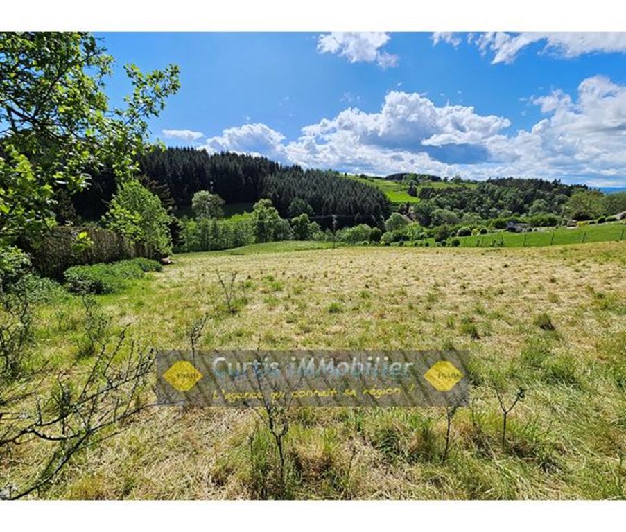Terrain SAINT JUST MALMONT 111900€ CURTIS IMMOBILIER Terrain SAINT JUST MALMONT 111900€ CURTIS IMMOBILIER